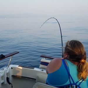 Meet your Posher, Kori